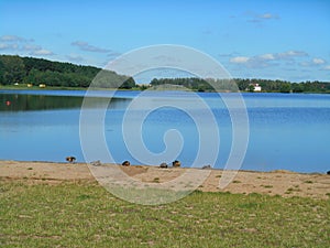 Lake shore summer landscape blue sky background