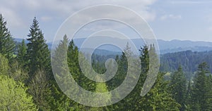 Green Forest Trees with Valley and Mountains in the Background an Aerial Shot with Drone Vertigo Dolly Zoom Effect