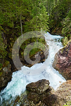 Verde Bosque cascada actual Agua montanas 