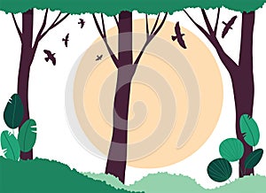 Green Forest or Woodland Area with Flying Birds, Bushes and Tall Trees Vector Illustration