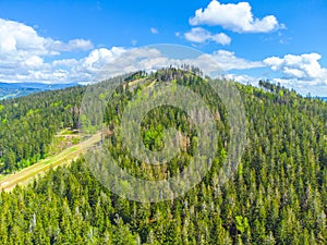 Green forested mountain with ski slopes