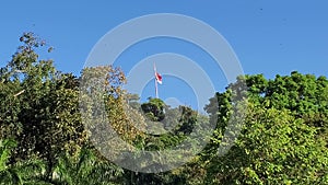 Green forests and Panama Flag at the top in hot summer in Panama.