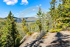 Green forests in Seven Falls Park