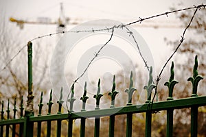 Green forged iron fence with barbed wire