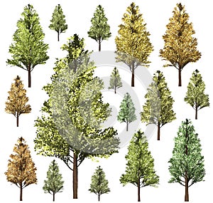 Green Forrest tree background. 3D Illustration. photo