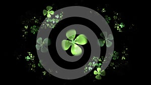 Green Four Leaf Clover On Black Animation