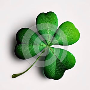 Green four-leaf clover on white isolated background illustration. Green four-leaf clover symbol of St. Patrick\'