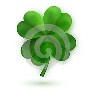 Green Four Leaf Clovers. Irish Lucky and success symbols. Vector illustration