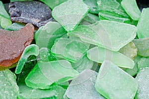 Green Fragments of Beach Glass