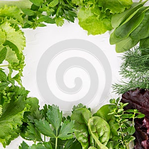 Green frame made of variety fresh edible herbs on white. Top view, copy space, flatlay, close-up