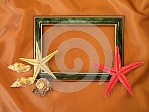 Green frame and shells