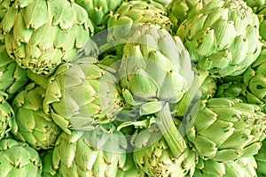 Green french artichoke flowers buds on the farm market stall photo