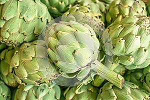 Green french artichoke flowers buds on the farm market stall photo