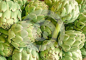 Green french artichoke flowers buds on the farm market stall photo
