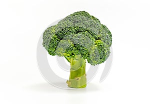 Green fresh broccoli isolated on white background. Healthy vegan food