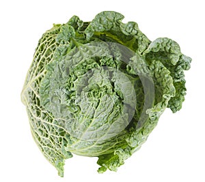 Green fresh cabbage savoy isolated on white