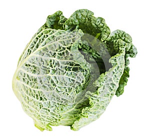 Green fresh cabbage savoy isolated on white