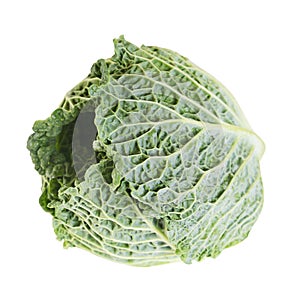 Green fresh cabbage savoy isolated on white