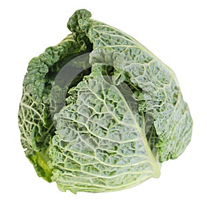 Green fresh cabbage savoy isolatedon white