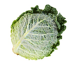 Green fresh cabbage savoy isolatedon white