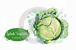 Green fresh cabbage with splashes isolated on the white background