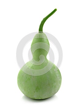 Green fresh calabash vegetable isolate on white background