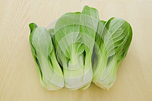 Green fresh chinese cabbage bok choi