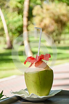 Green fresh coconut with straw and red flower served like cocktail drink in outdoor bar at resort