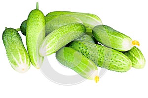 Green fresh cucumbers isolated