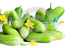 Green fresh cucumbers isolated