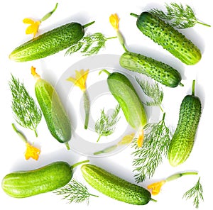 Green fresh cucumbers isolated on white background