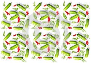 Green fresh cucumbers and red currant isolated on white background