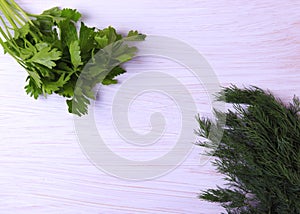 Green fresh fennel and parsley in a bunch