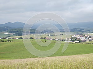 Green fresh grass on the meadow or garden and in the nature.