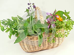 Green, fresh herbs