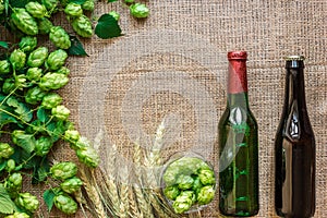 Green Fresh Hops with Wheat and two bottles of beer as copy space frame text area on sackcloth background