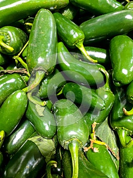 Green fresh jalapeno chili peppers