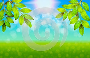 Green fresh leaves with bokeh highlights. Blurred natural background. Summer or Spring season. Vector illustration