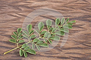 Green and fresh leaves of moringa - Moringa oleifera