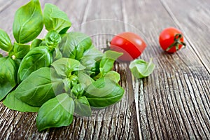 Green fresh leaves of organic basil and small ripe tomatoes on a wooden background