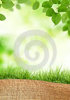 Green Fresh Leaves and Sack