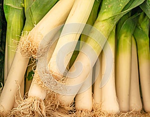 Green fresh leek sold in a farm market stall. Food background photo