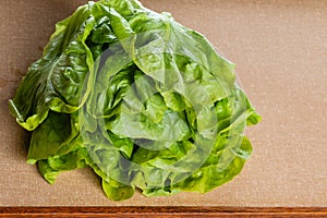 Green and fresh lettuces on the table.