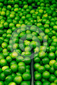 Green fresh green limes background. Group of green limes