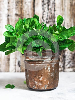 Green fresh mint in a copper pot
