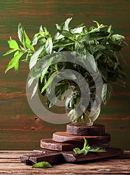 Green fresh mint on the wooden table