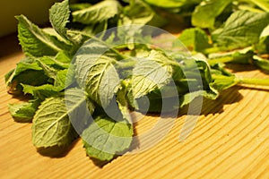 green fresh mint on a wooden table.