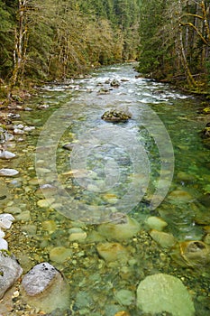 Green fresh mountain stream over boulders