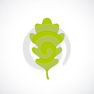 Green fresh oak leaf icon