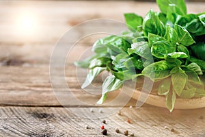 Green fresh organic basil on wooden background with copyspace. Herbs and spices for cooking